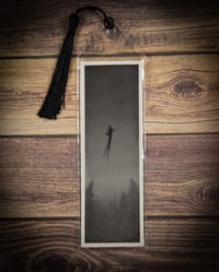 Image 1 of The Follower