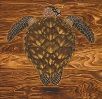 Image 1 of 'Hawksbill Rising' 1/1 Original Painting