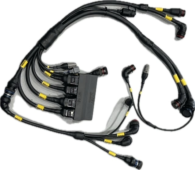 Custom Engine Harness(s)