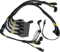 Image 1 of Custom Engine Harness(s)