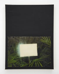 Image 1 of Jarryd Lynagh 'Pure Flash' - Original Artwork 2024