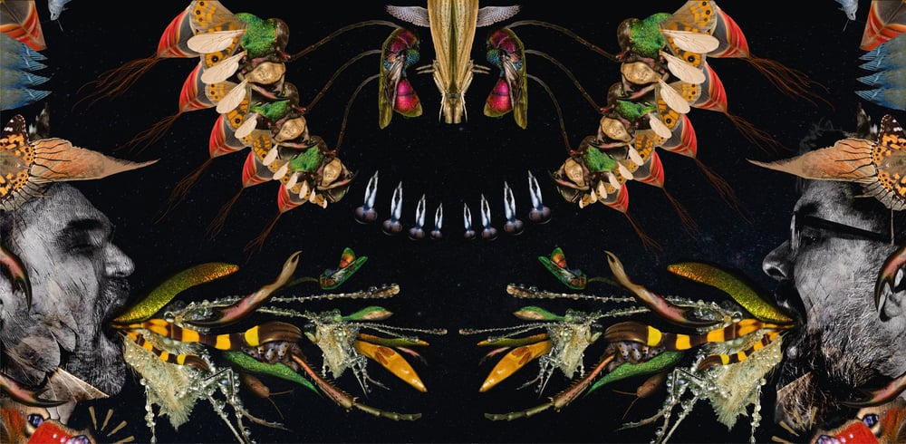 Geld et Nelt – Morgen Gehts Net (LP)