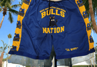 NORTHWESTERN BULLS NATION BLUE 