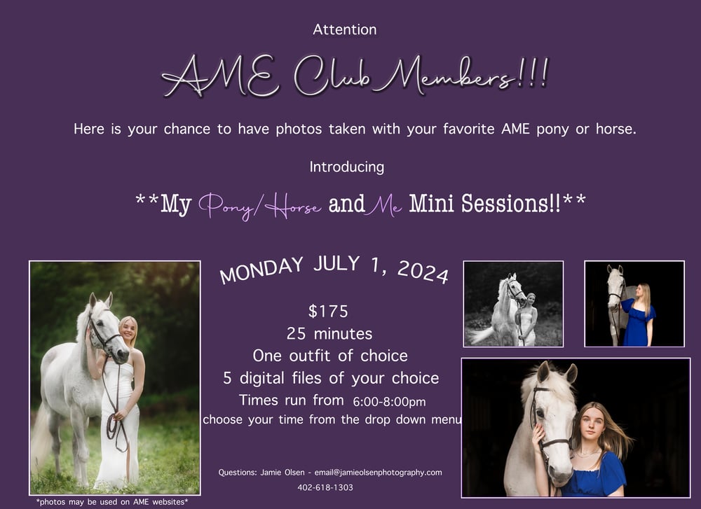 Image of AME Club -My Horse/Pony and Me Minis $175- AME Clients ONLY- MONDAY JULY 1, 2024