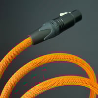 Image 4 of HAVEN XLR Cable