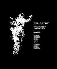 Image 2 of World Peace | Hoodie