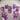 LIQUID CORE Royal Purple Cosmos