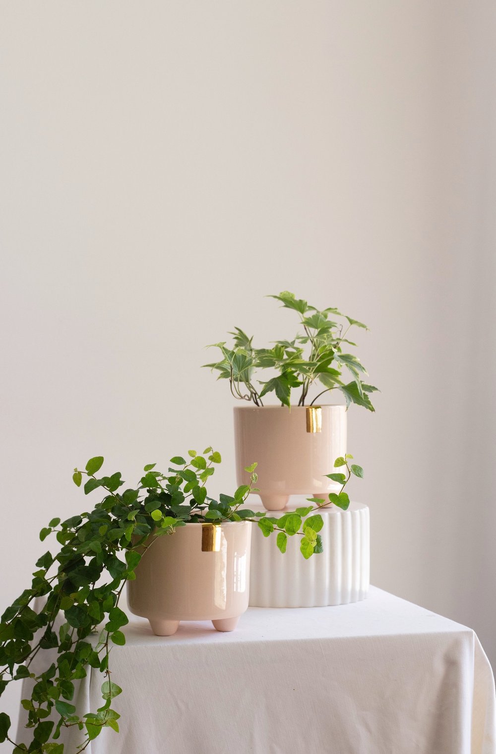 Image of EVA Plant Pot