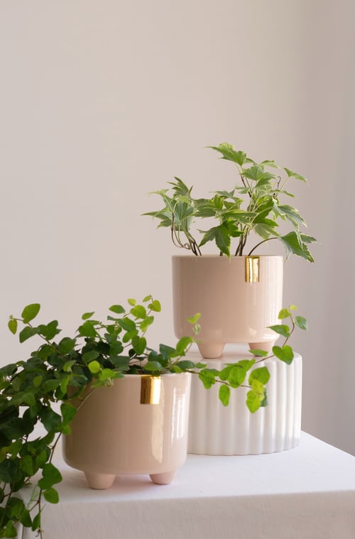 Image of EVA Plant Pot