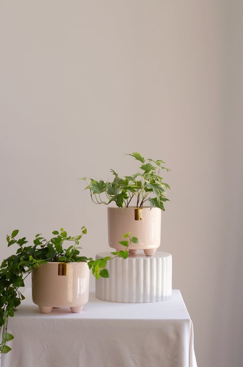 Image of EVA Plant Pot