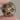 Silver and Gold Dark Angel Dice
