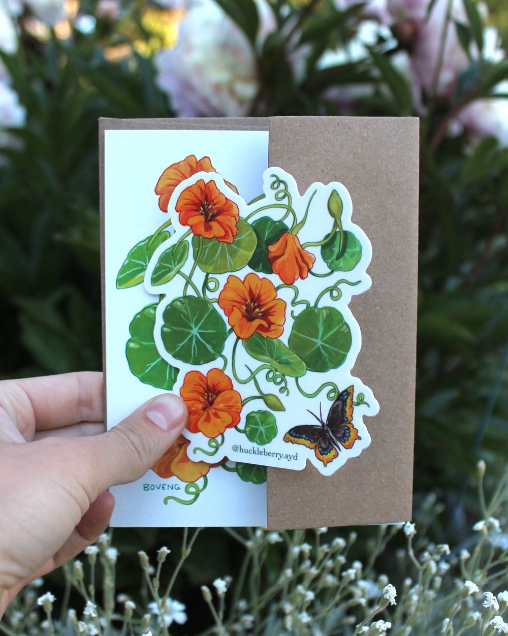 Image of Nasturtiums/ Mourning Cloak Sticker