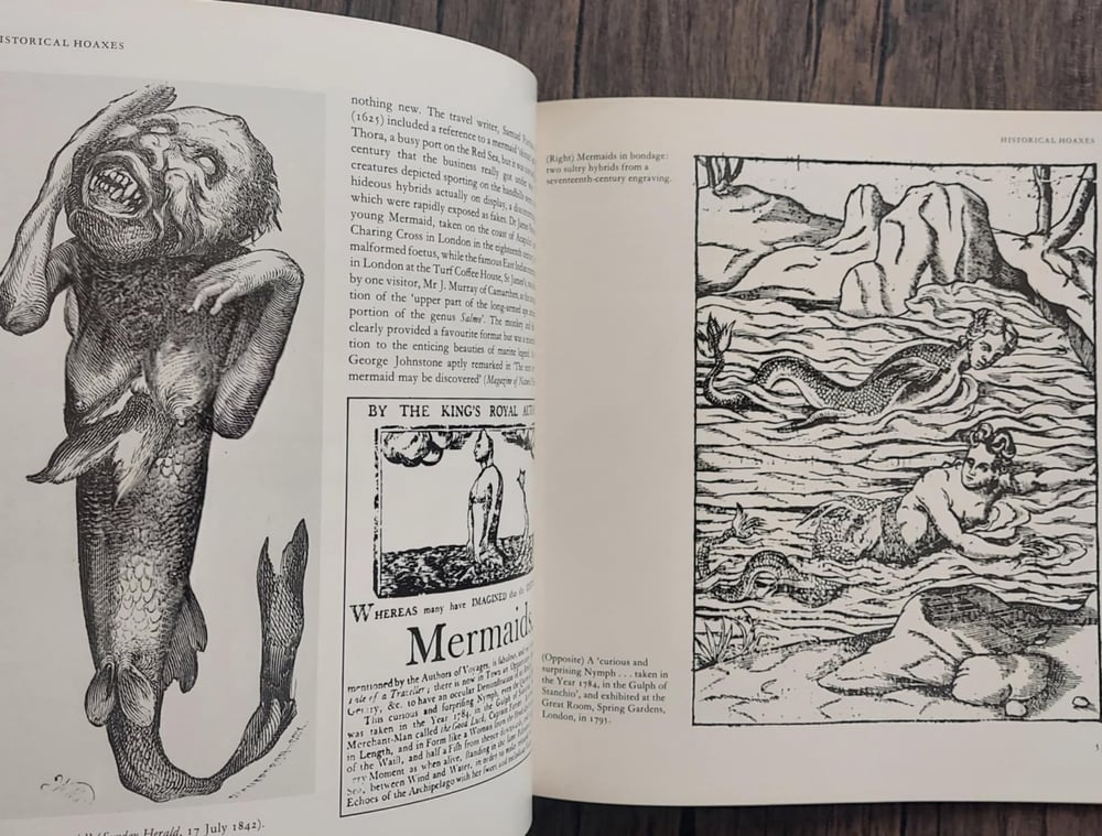 Mermaids, by Beatrice Phillpotts