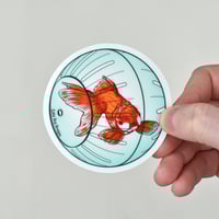 Image 3 of Goldfish Clear Vinyl Sticker