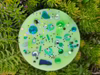 Image 4 of Sea Dew - A Rockytop Wax Works exclusive custom houseblend fragrance 