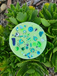 Image 5 of Sea Dew - A Rockytop Wax Works exclusive custom houseblend fragrance 
