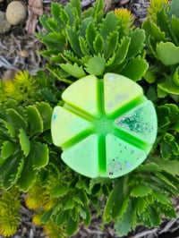 Image 6 of Sea Dew - A Rockytop Wax Works exclusive custom houseblend fragrance 