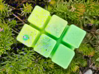 Image 10 of Sea Dew - A Rockytop Wax Works exclusive custom houseblend fragrance 