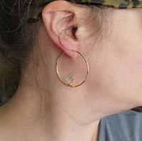 Image 6 of Clear Gold 