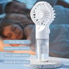 Portable Mist Fan