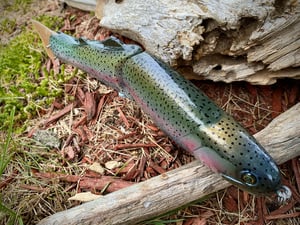 Image of 11” Cali Girl (Classic Rainbow)