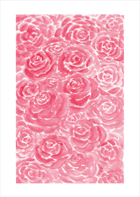 Pink Roses Watercolor Print