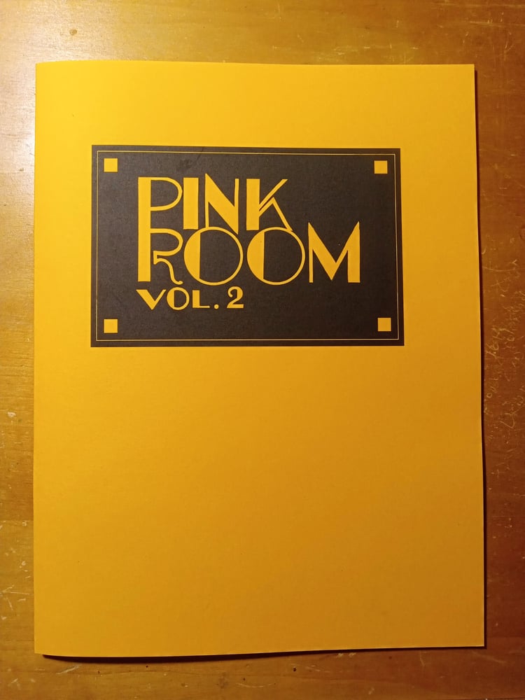 Image of The PINK ROOM vol 2