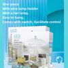 Smart 2-in-1 Ceiling Fan with Remote Control and 3-Speed Lighting Base