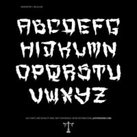 Image 2 of Muenster (1 style) - Custom Font by Justified Ink