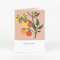 Image 1 of Oranges and Lemons zine