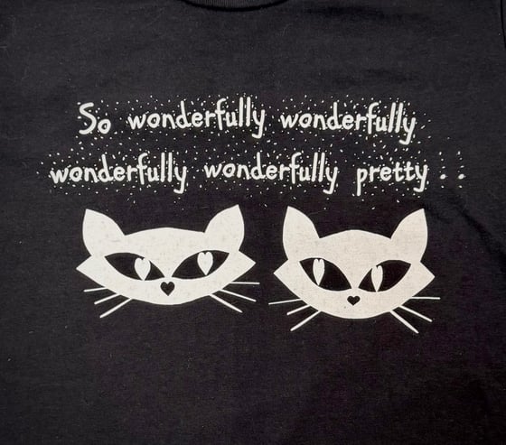 Image of Wonderfully Pretty Ladies & Guys T-Shirt