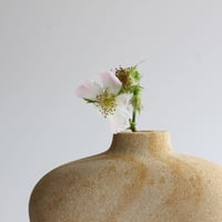 Image 2 of Swirl Vase