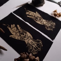 Image 2 of Golden Cotton Patch - Sight