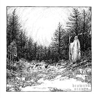 Artprint - Dunkelwald - 29,7 x 29,7 cm