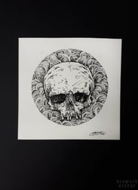 Image 1 of Original illustration "Skull"- nib and ink drawing on watercolor paper