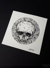 Image 2 of Original illustration "Skull"- nib and ink drawing on watercolor paper