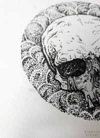 Image 3 of Original illustration "Skull"- nib and ink drawing on watercolor paper