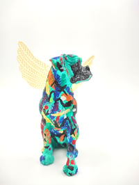 Image 1 of Male Rainbow Boxer Angel