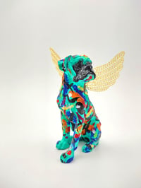 Image 2 of Male Rainbow Boxer Angel