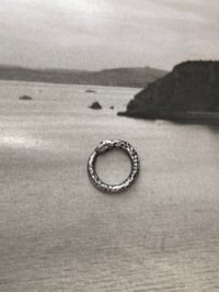 Image 1 of Ouroboros pendant