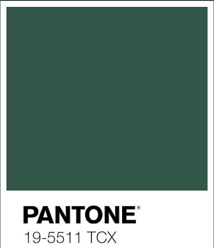 Deep Green Ruffled "Selene" Dressing Gown Limited Edition Size XS Image 2