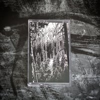 Image 2 of Whispers Of Umbar "Schlafende Alpenwälder" MC