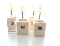 Image 5 of Portalápices y lápiz personalizado a juego