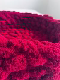 Image 3 of Crimson pet bed
