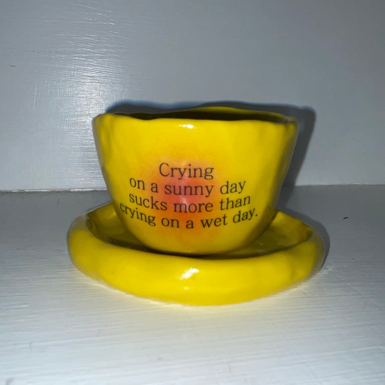 Crying on a sunny day sucks more than crying on a wet day.