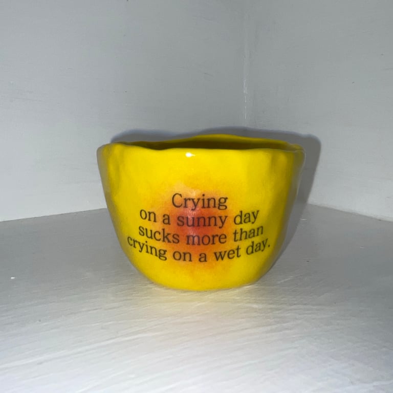 Crying on a sunny day sucks more than crying on a wet day. Image 2