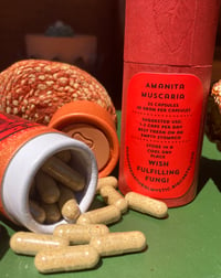 Image 2 of Amanita Muscaria “Wish Fulfilling Fungi”  Microdose Package