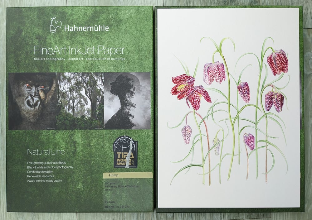 Image of Snakeshead Fritillary A4 Special Edition Signed Numbered Hemp Print