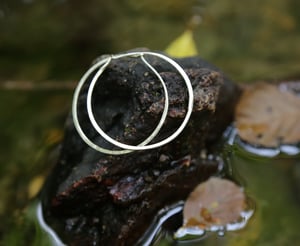 Image of Simple hoop earrings