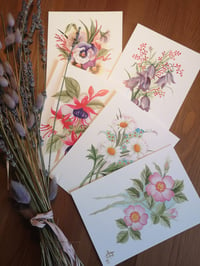 Botanical Postcard Set